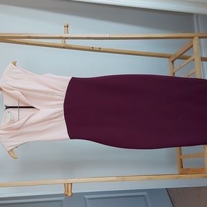 Ted Baker Light Pink/Burgundy Dress Size 0